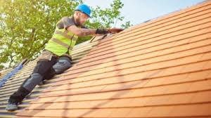 Best Rubber Roofing (EPDM, TPO)  in Shakopee, MN