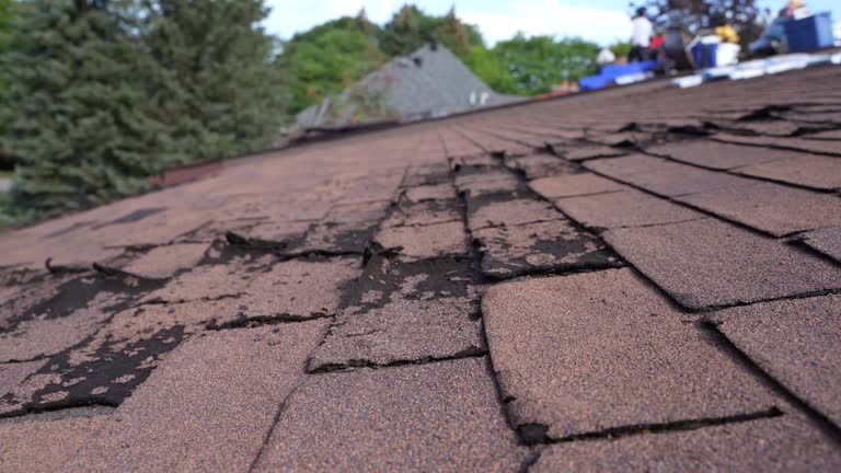 Best Green or Eco-Friendly Roofing Solutions  in Shakopee, MN