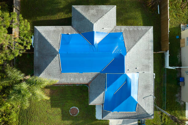Best Roof Maintenance and Cleaning  in Shakopee, MN