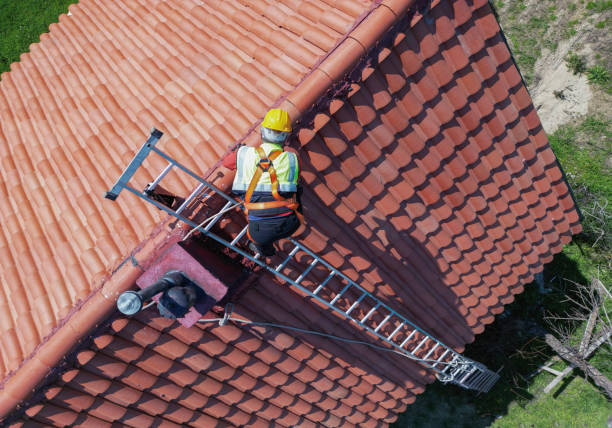 Best Roof Insulation Installation  in Shakopee, MN