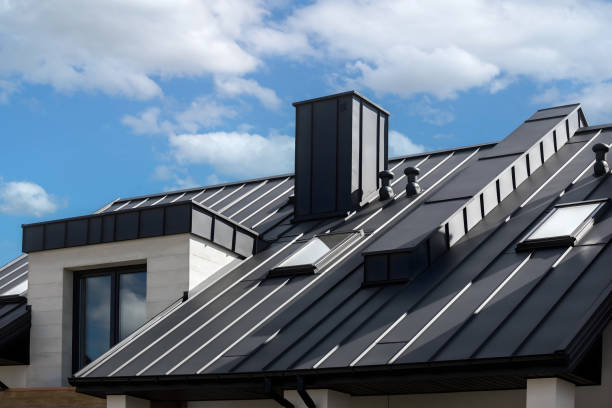 Best Skylight Installation and Repair  in Shakopee, MN